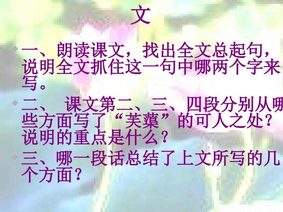 《芙蕖》PPT课件[北师大版八年级语文下册]_第3页