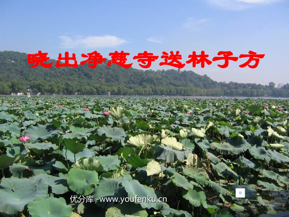 《晓出净慈寺送林子方》PPT课件[北师大版八年级语文下册]_第1页