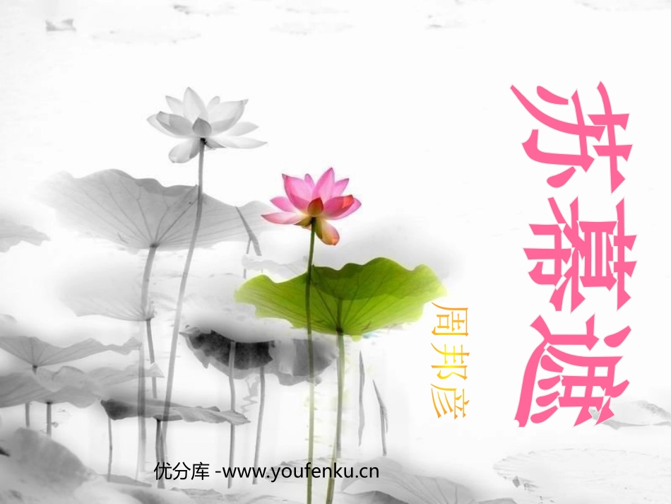 《苏幕遮》PPT课件[北师大版八年级语文下册]_第1页