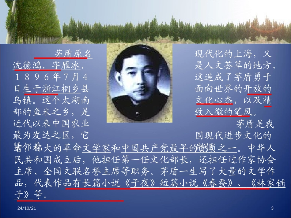 《白杨礼赞》PPT课件[北师大版九年级语文下册]_第2页