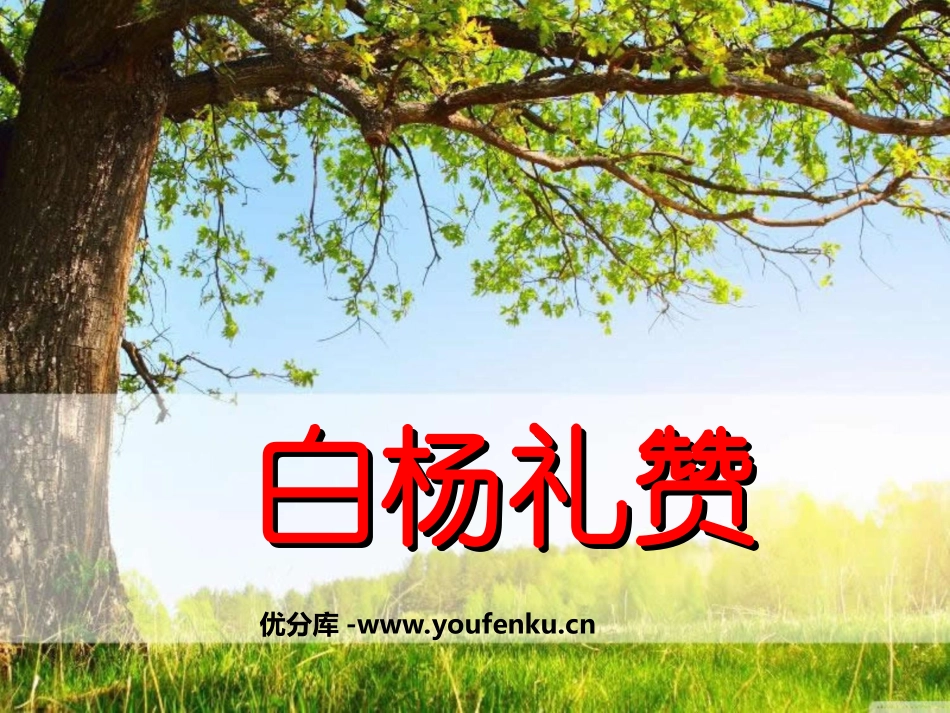 《白杨礼赞》PPT课件[北师大版九年级语文下册]_第1页