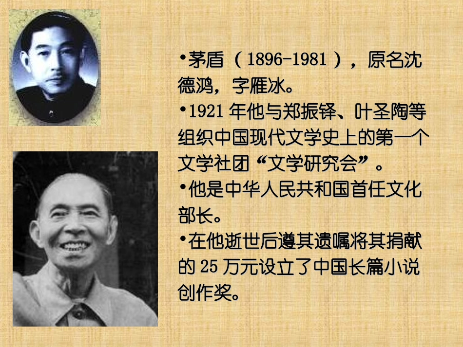 《白杨礼赞》PPT课件[北师大版九年级语文下册]_第3页