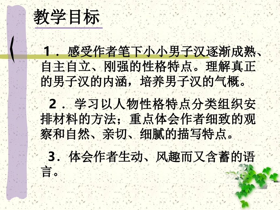 《我们家的男子汉》PPT课件[苏教版七年级语文下册]_第2页