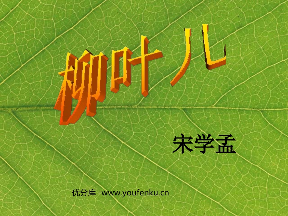 《柳叶儿》PPT课件[苏教版七年级语文下册]_第1页