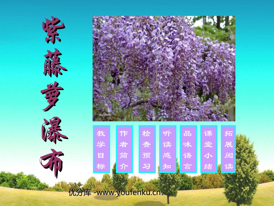 《紫藤萝瀑布》PPT课件[苏教版八年级语文下册]_第1页
