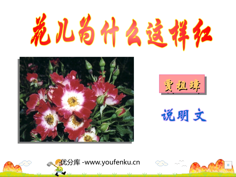 《花儿为什么这样红》PPT课件[苏教版八年级语文下册]_第1页