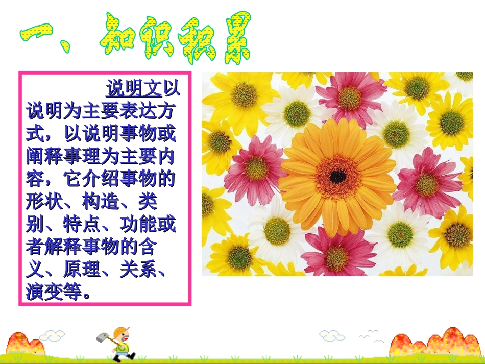 《花儿为什么这样红》PPT课件[苏教版八年级语文下册]_第2页