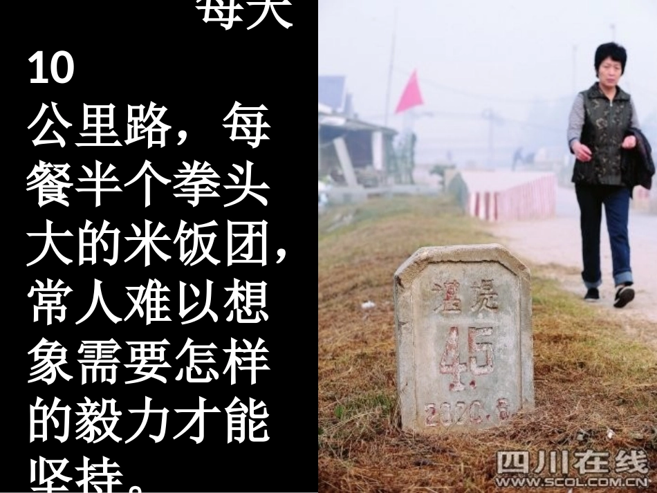 《散步》PPT课件[苏教版八年级语文下册]_第3页