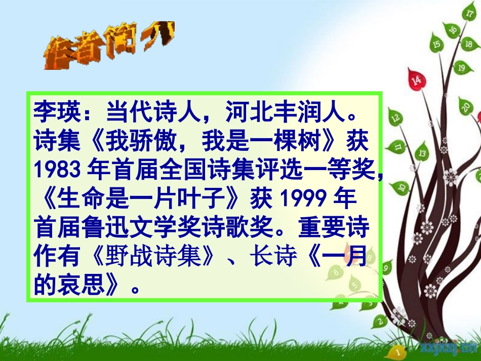 《我骄傲,我是一棵树》PPT课件[苏教版八年级语文下册]_第2页