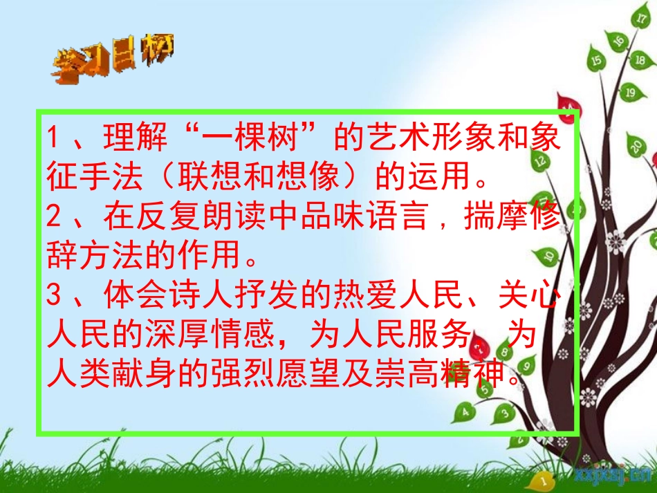 《我骄傲,我是一棵树》PPT课件[苏教版八年级语文下册]_第3页