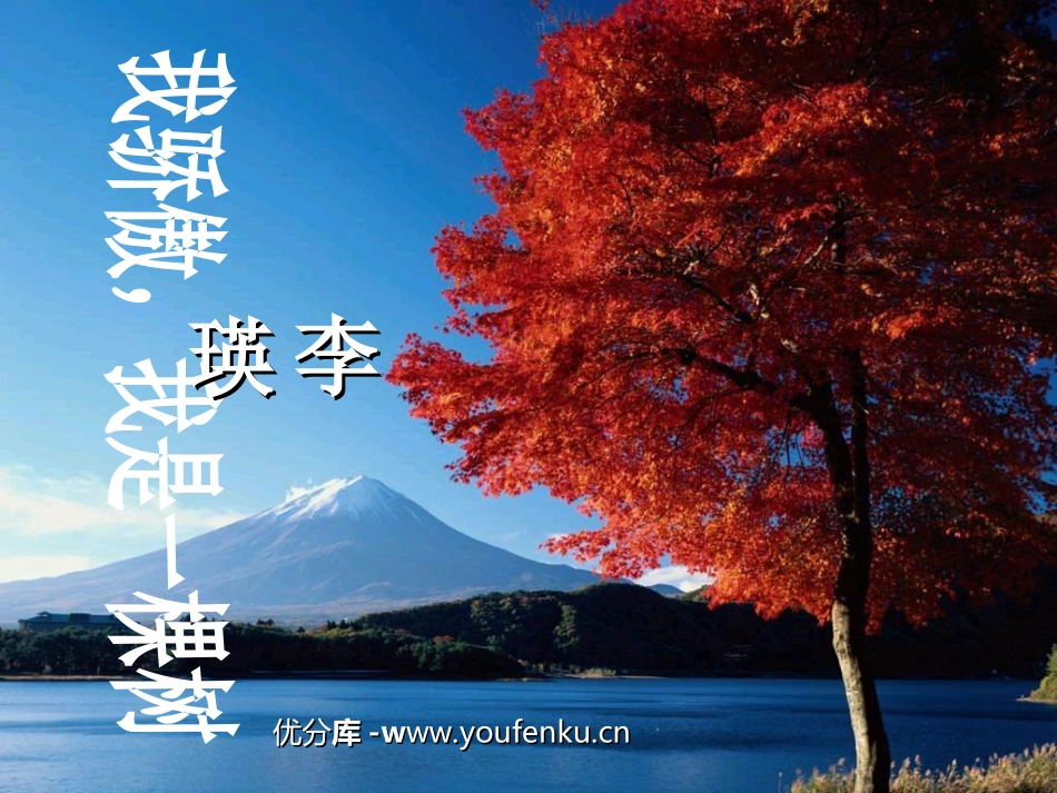 《我骄傲,我是一棵树》PPT课件[苏教版八年级语文下册]_第1页