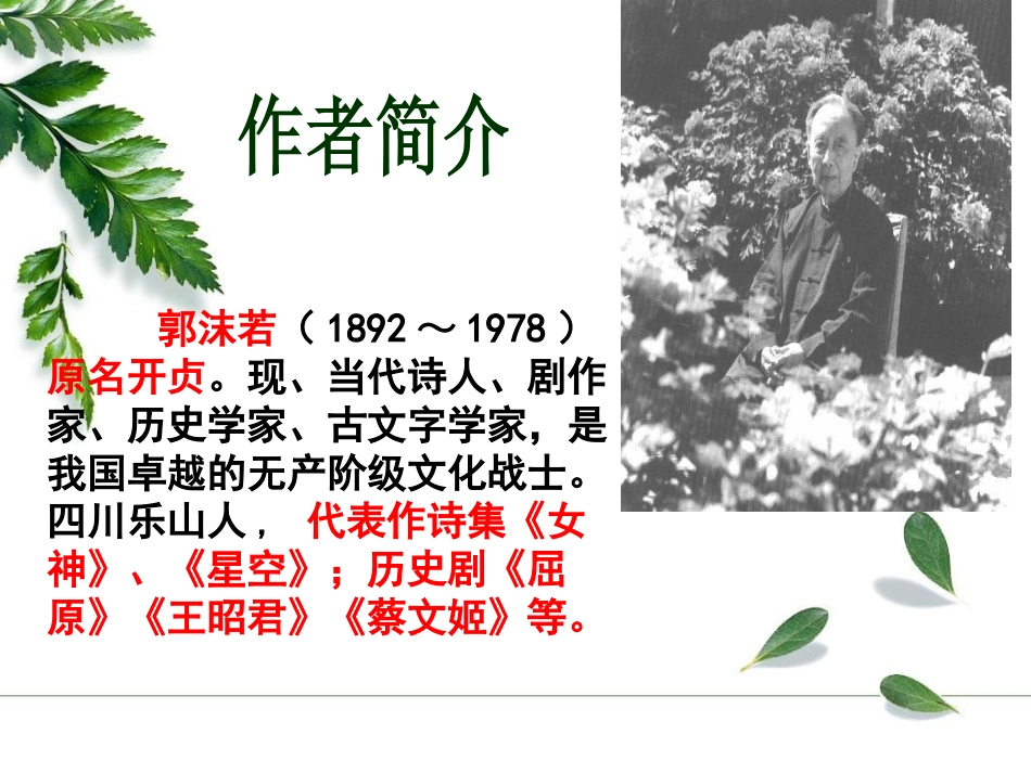 《在萧红墓前的五分钟讲演》PPT课件[苏教版八年级语文下册]_第2页