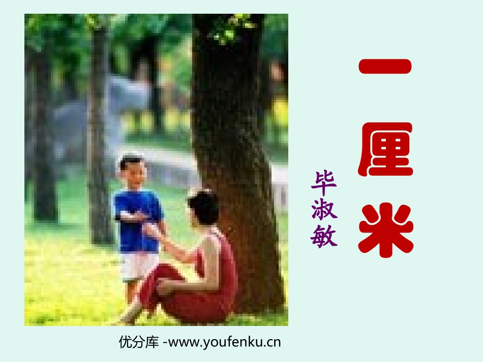 《一厘米》PPT课件[苏教版九年级语文下册]_第1页