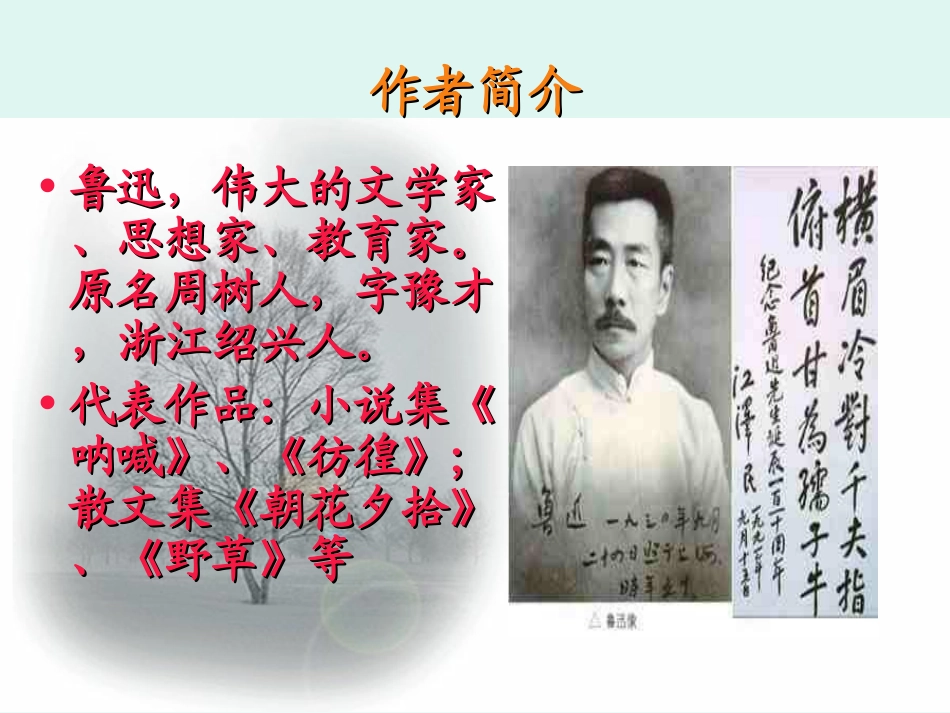 《雪》PPT课件[苏教版九年级语文下册]_第2页