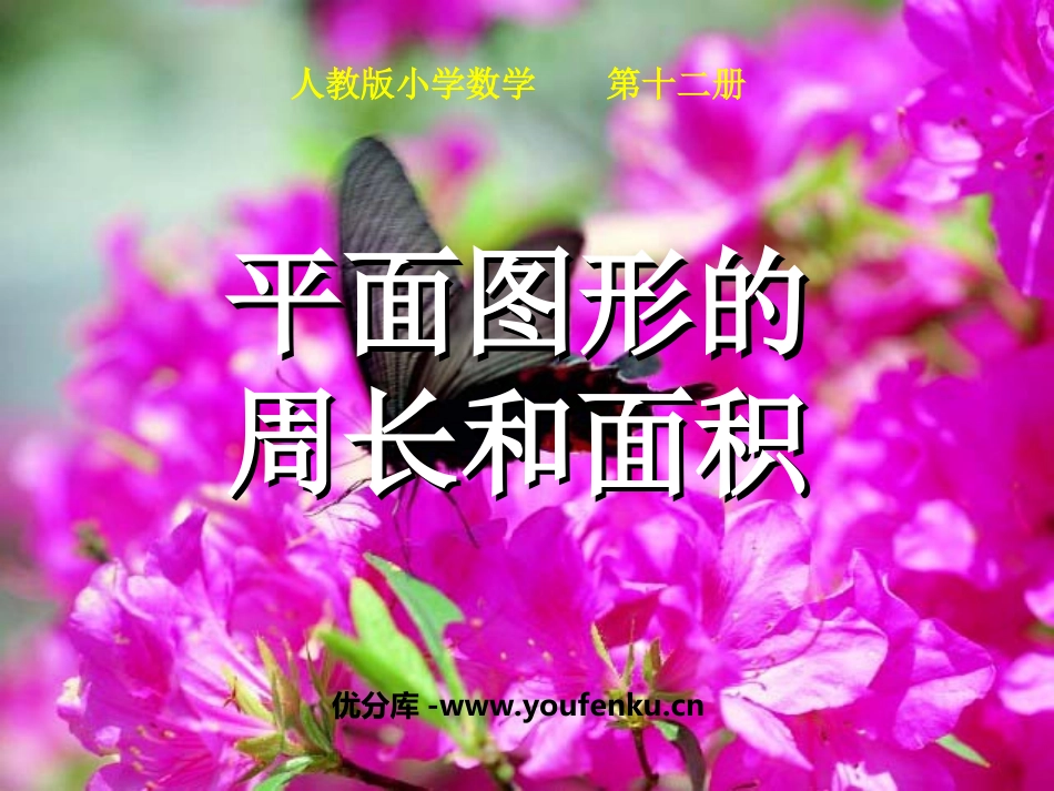 《总复习平面图形的周长和面积》PPT课件[人教版六年级数学]_第1页