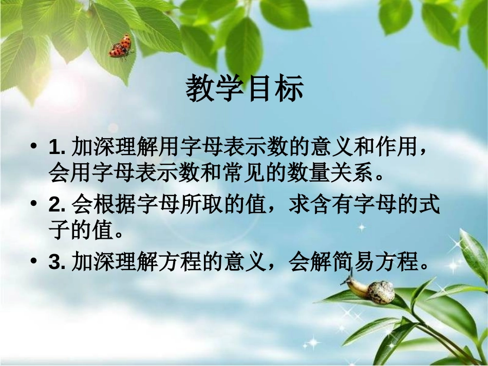 《总复习-式与方程》PPT课件[人教版六年级数学下册]_第2页