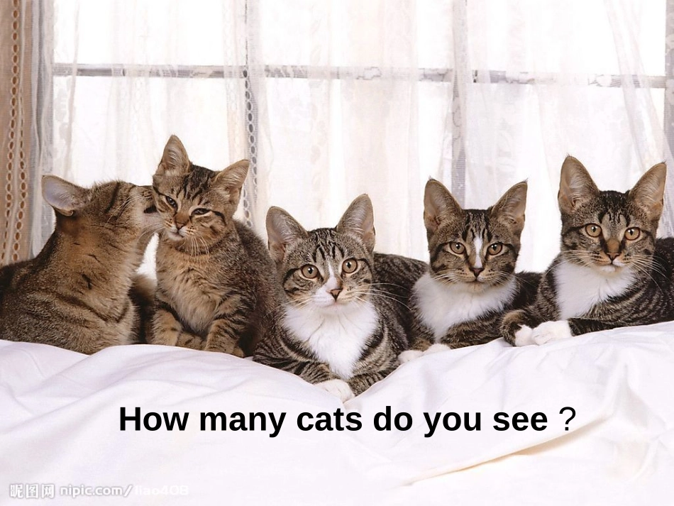 《How many?》第二课时PPT课件[人教版三年级英语]_第3页