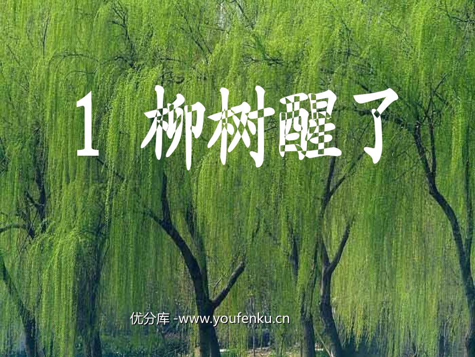 《柳树醒了》PPT课件[部编版一年级语文下册]_第1页
