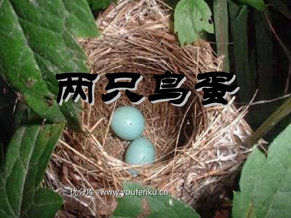 《两只鸟蛋》PPT课件[部编版一年级语文下册]_第1页