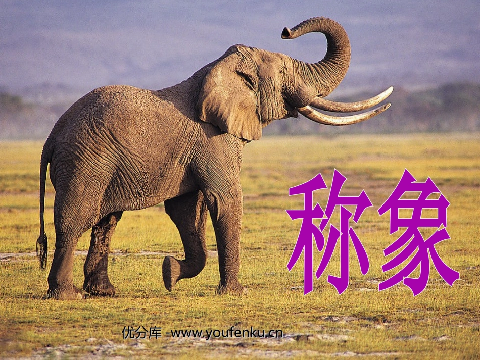 《称象》PPT课件[部编版一年级语文下册]_第1页
