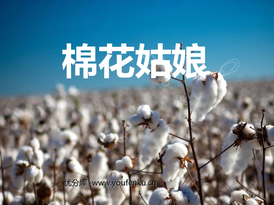 《棉花姑娘》PPT课件[部编版一年级语文下册]_第1页