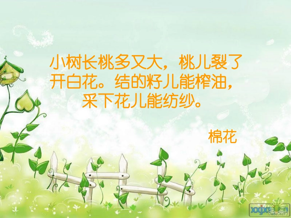 《棉花姑娘》PPT课件[部编版一年级语文下册]_第2页