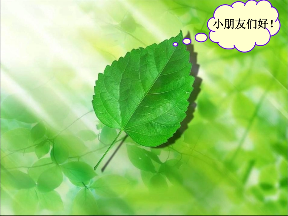 《一片树叶》PPT课件[北师大版二年级语文下册]_第2页