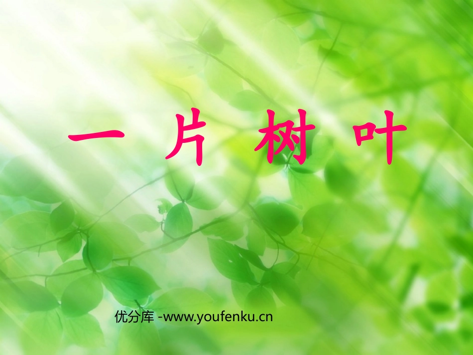 《一片树叶》PPT课件[北师大版二年级语文下册]_第1页