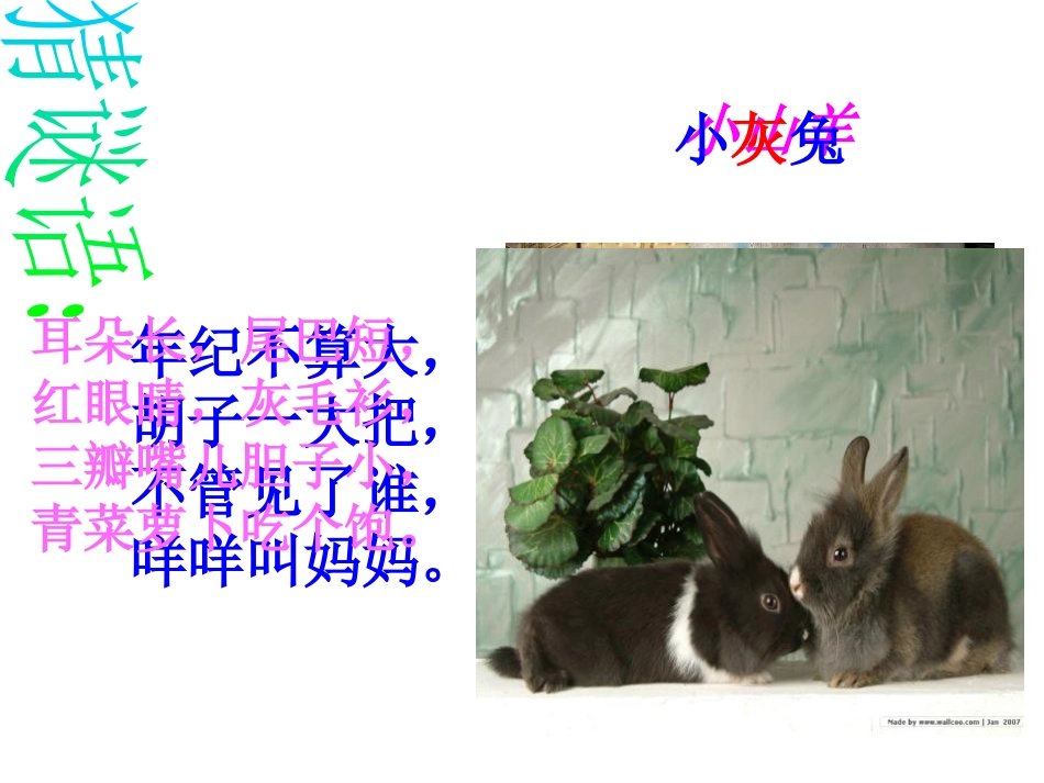 《小山羊和小灰兔》PPT课件[北师大版二年级语文下册]_第2页