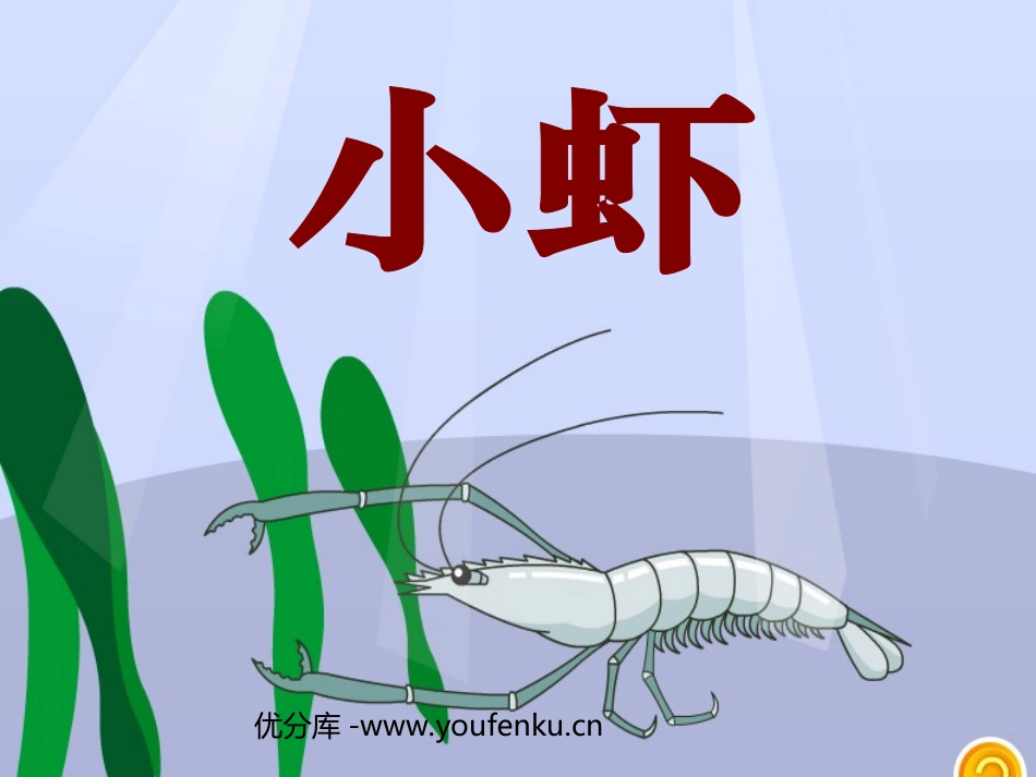 《小虾》PPT课件[北师大版三年级语文下册]_第1页