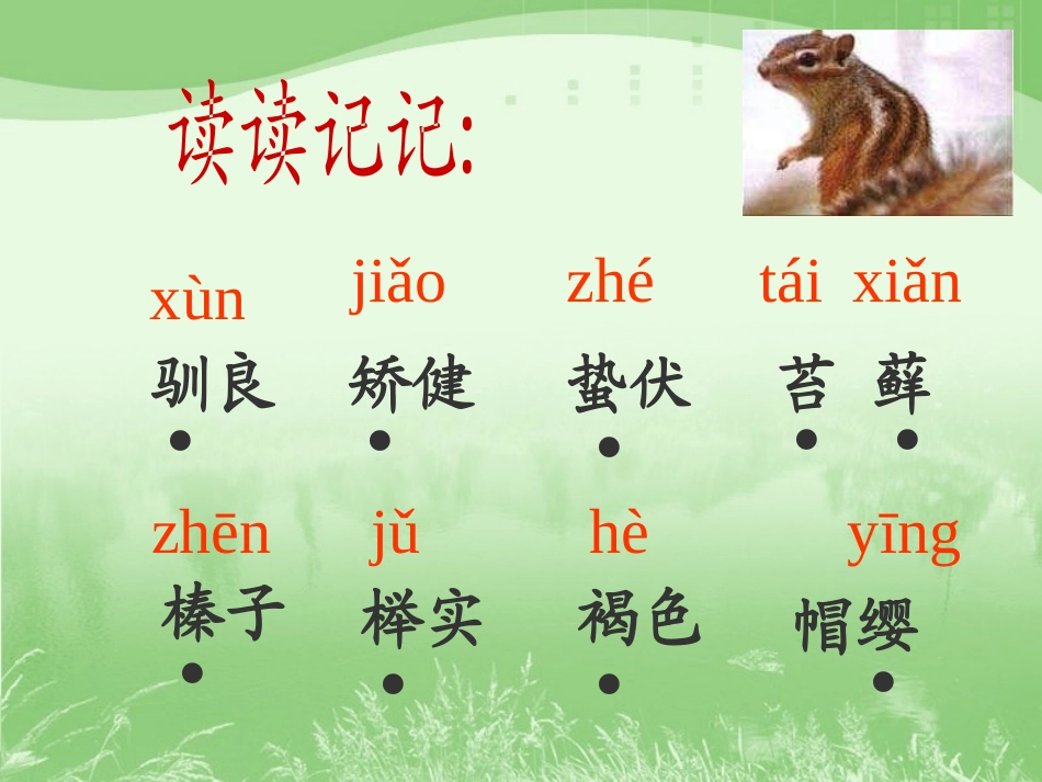 《松鼠》PPT课件[北师大版三年级语文下册]_第3页