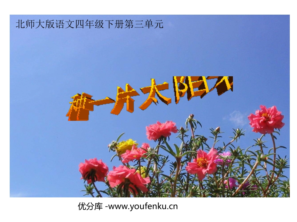 《种一片太阳花》PPT课件[北师大版四年级语文下册]_第1页
