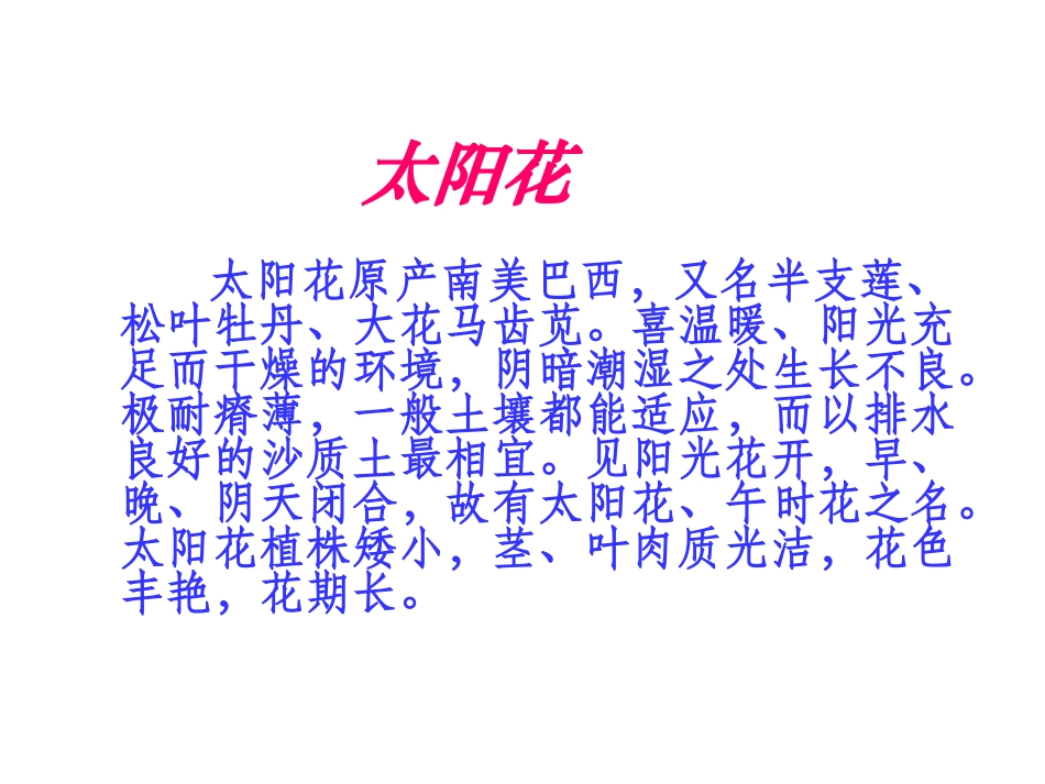 《种一片太阳花》PPT课件[北师大版四年级语文下册]_第2页
