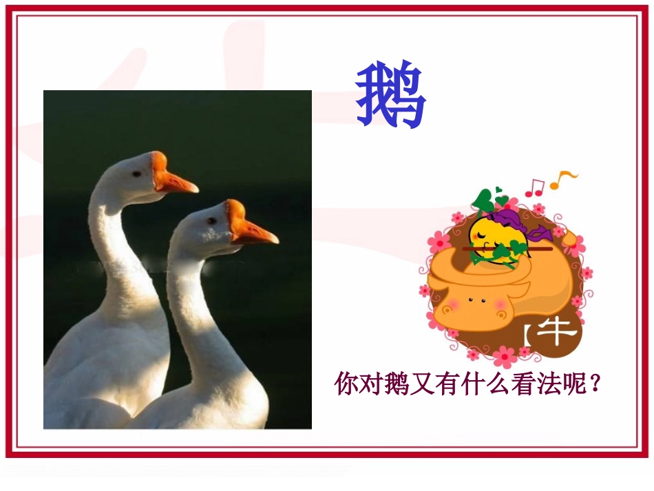 《牛和鹅》PPT课件[北师大版五年级语文下册]_第3页