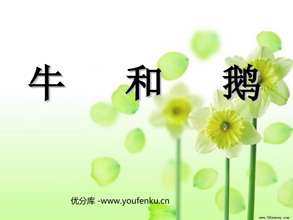 《牛和鹅》PPT课件[北师大版五年级语文下册]_第1页