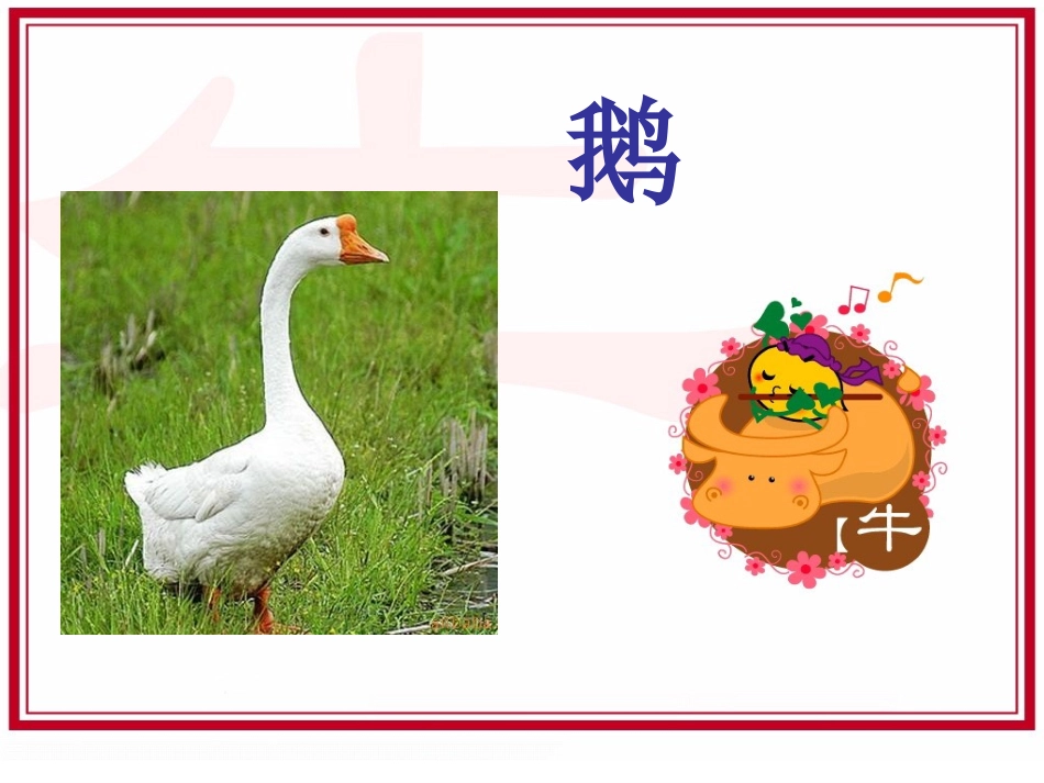 《牛和鹅》PPT课件[北师大版五年级语文下册]_第3页