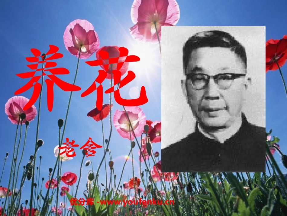 《养花》PPT课件[北师大版六年级语文下册]_第1页