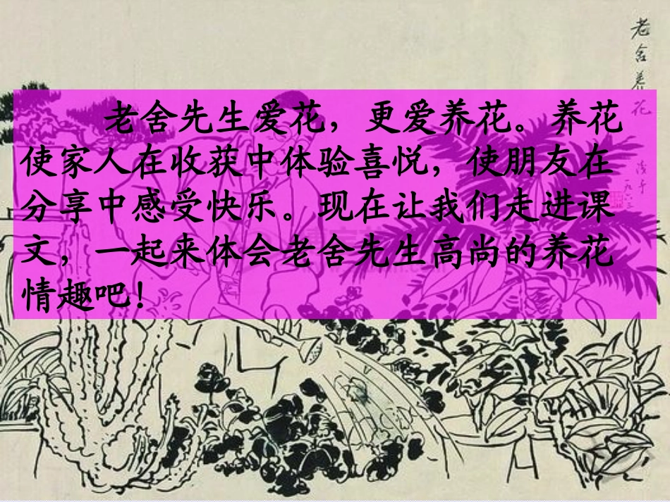 《养花》PPT课件[北师大版六年级语文下册]_第2页