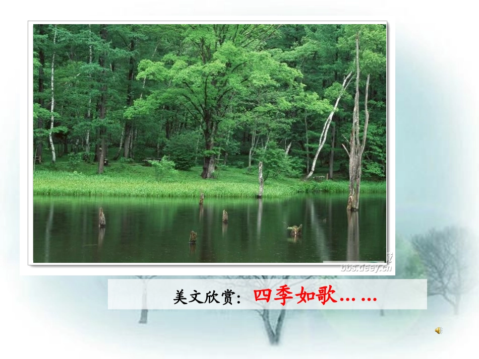 《爸爸带我去爬树》PPT课件[北师大版六年级语文下册]_第3页