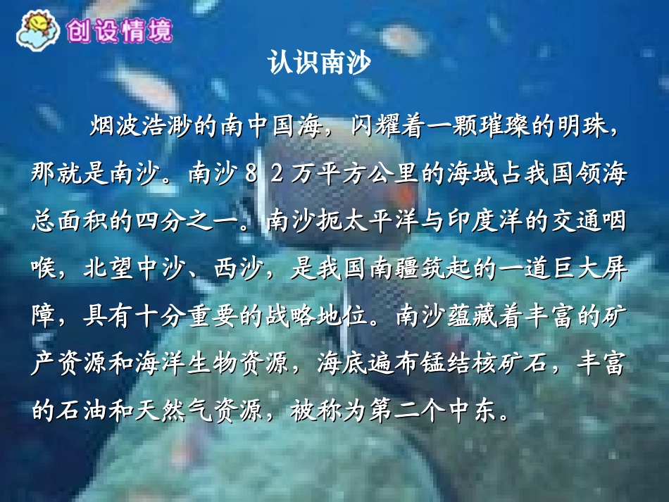 《南沙卫士》PPT课件[北师大版六年级语文下册]_第3页