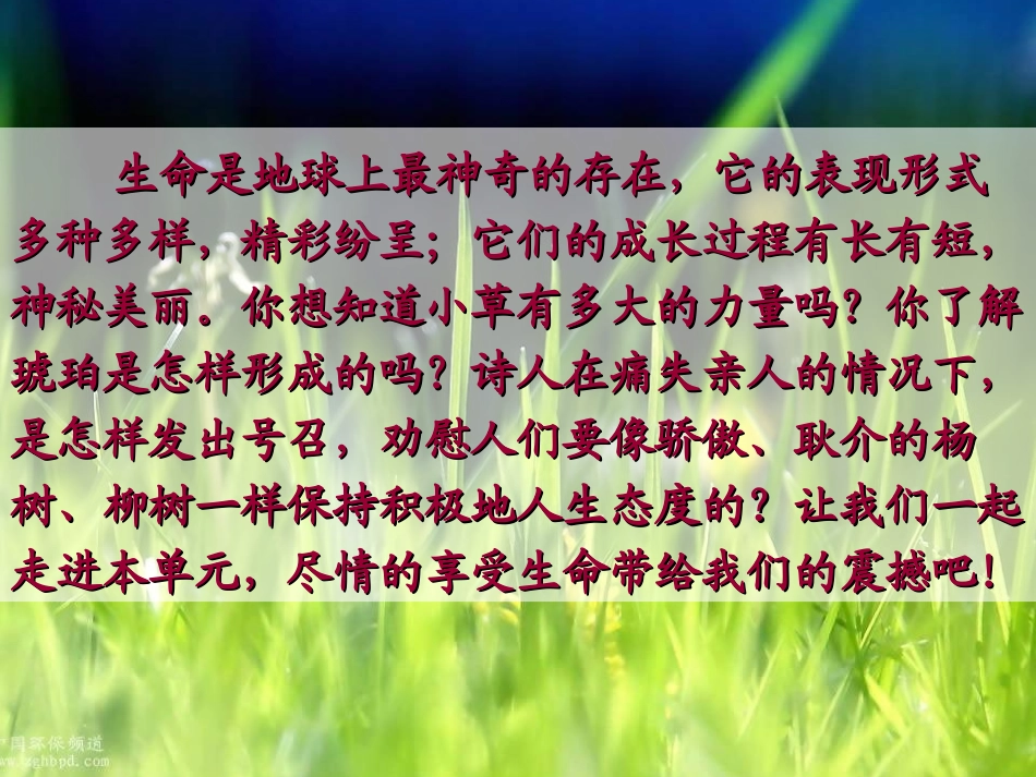 《野草》PPT课件[北师大版六年级语文下册]_第2页