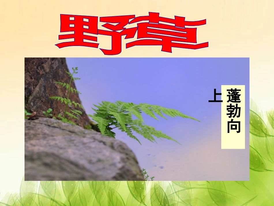 《野草》PPT课件[北师大版六年级语文下册]_第3页