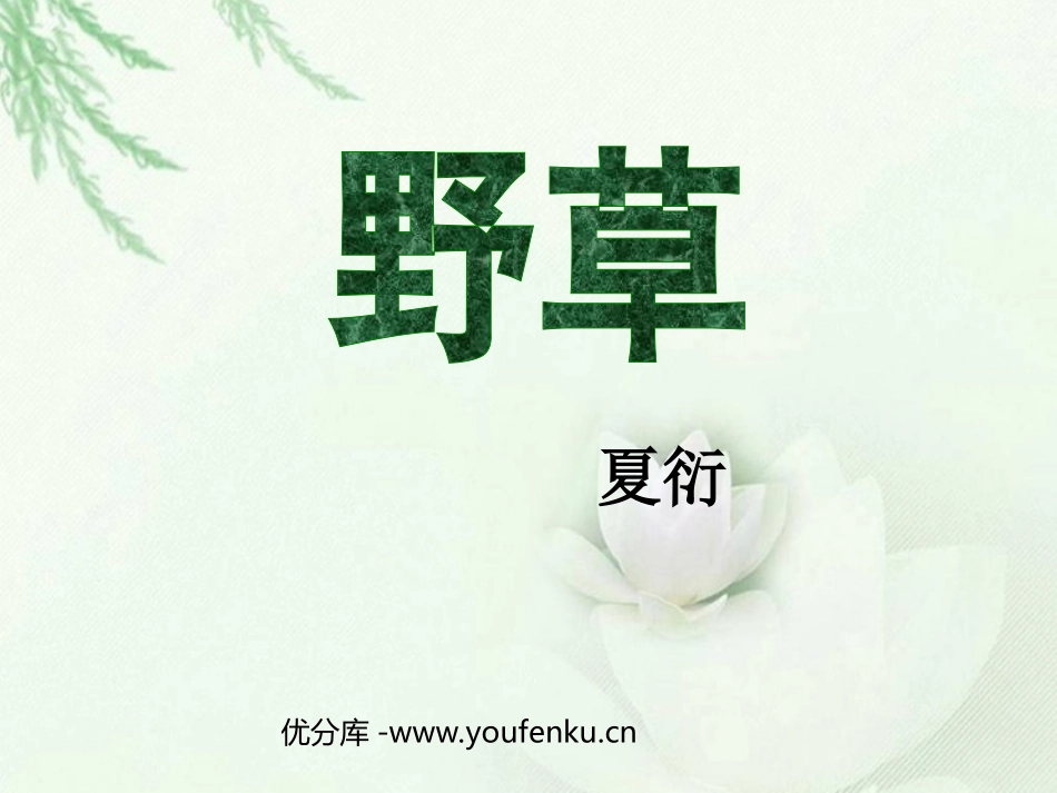 《野草》PPT课件[北师大版六年级语文下册]_第1页