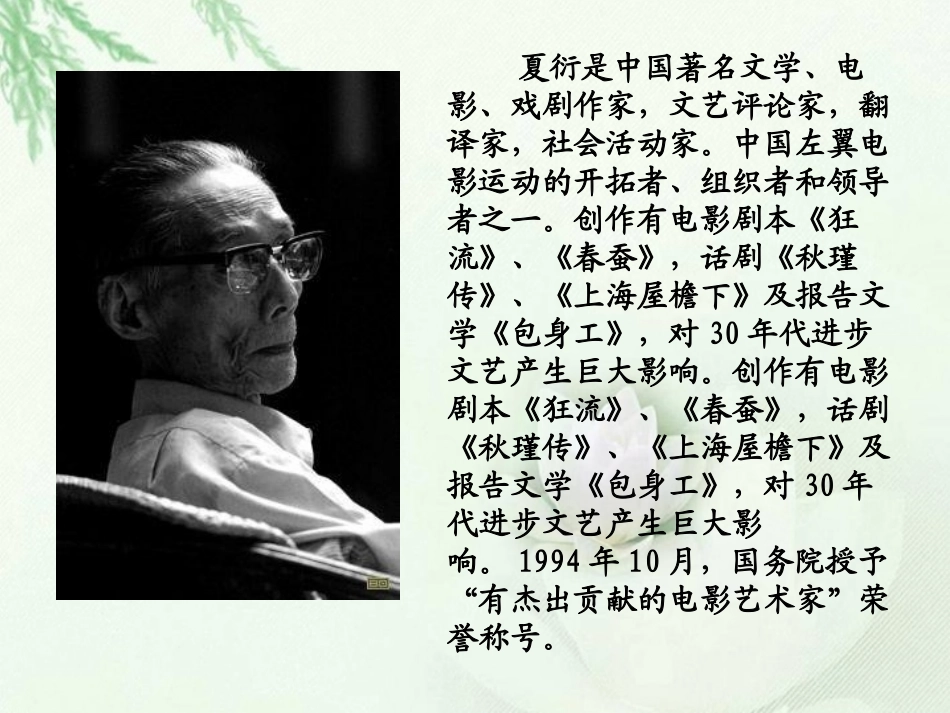 《野草》PPT课件[北师大版六年级语文下册]_第2页