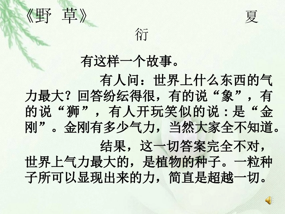 《野草》PPT课件[北师大版六年级语文下册]_第3页