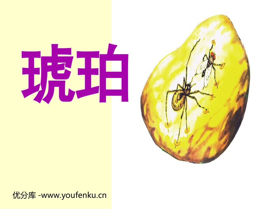 《琥珀》PPT课件[北师大版六年级语文下册]_第1页