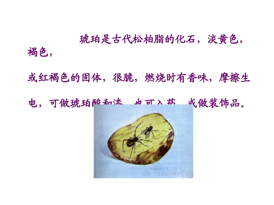 《琥珀》PPT课件[北师大版六年级语文下册]_第3页