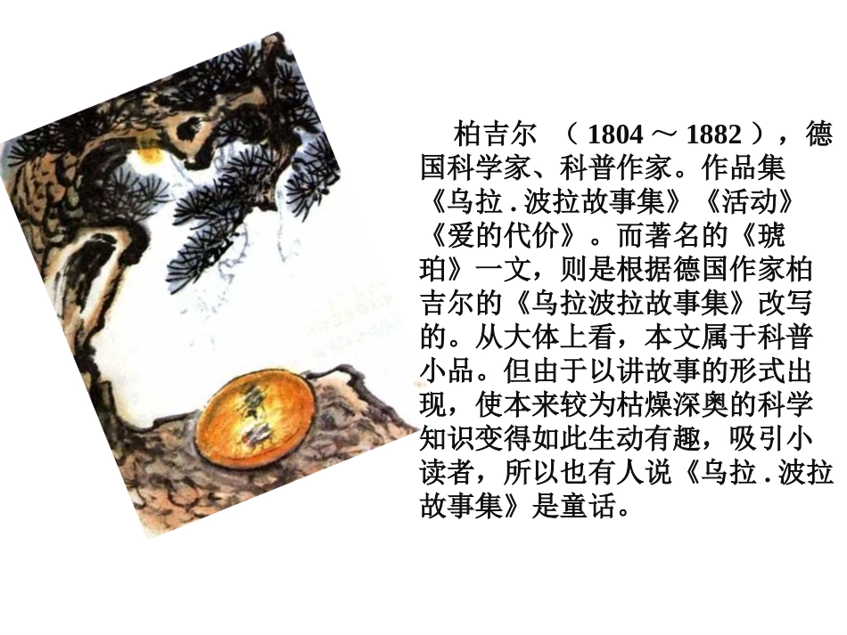 《琥珀》PPT课件[北师大版六年级语文下册]_第2页