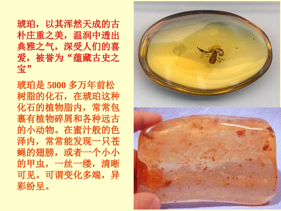 《琥珀》PPT课件[北师大版六年级语文下册]_第3页