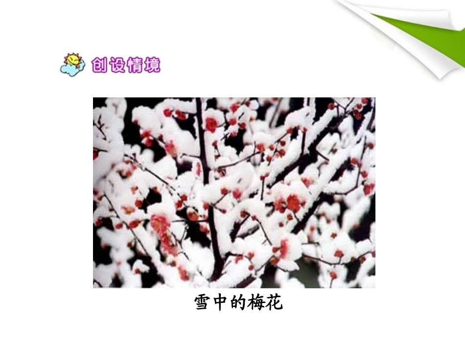 《春到梅花山》PPT课件[苏教版一年级语文下册]_第3页